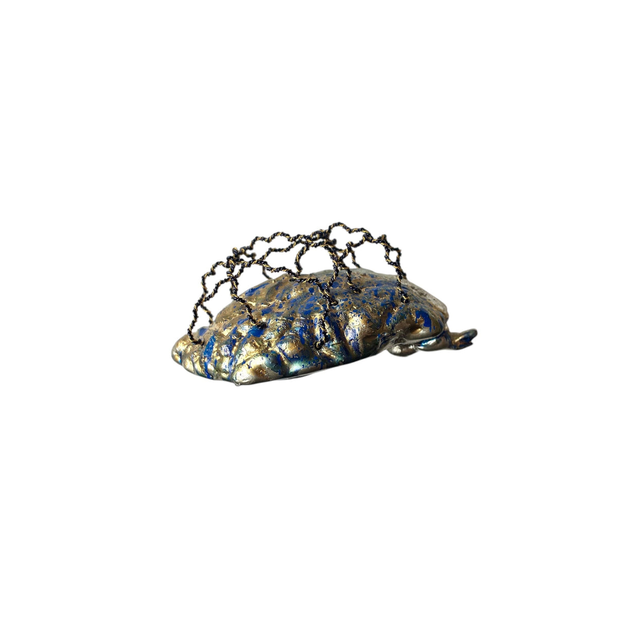 Splitbrain